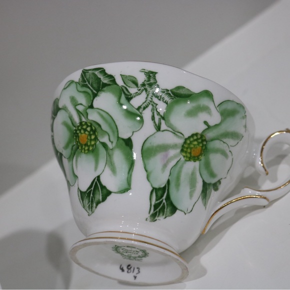 Queen Anne “Magnolia” Teacup & Saucer Bone China England Collectible - Picture 9 of 16